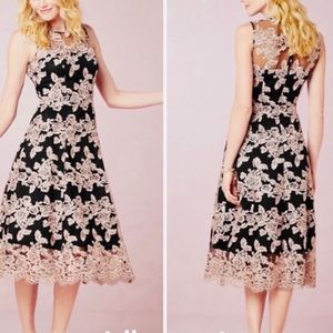 Anthropologie Hitherto Tonya Lace Dress  Floral 12